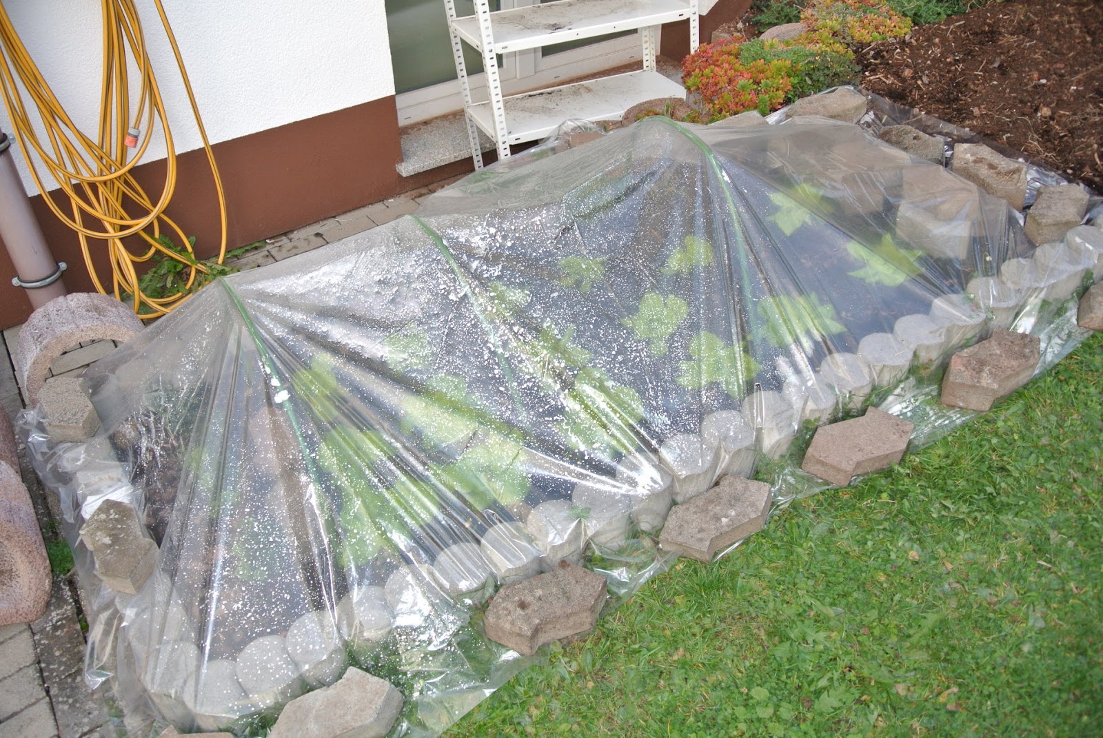 Burlis Gartenblog Folientunnel