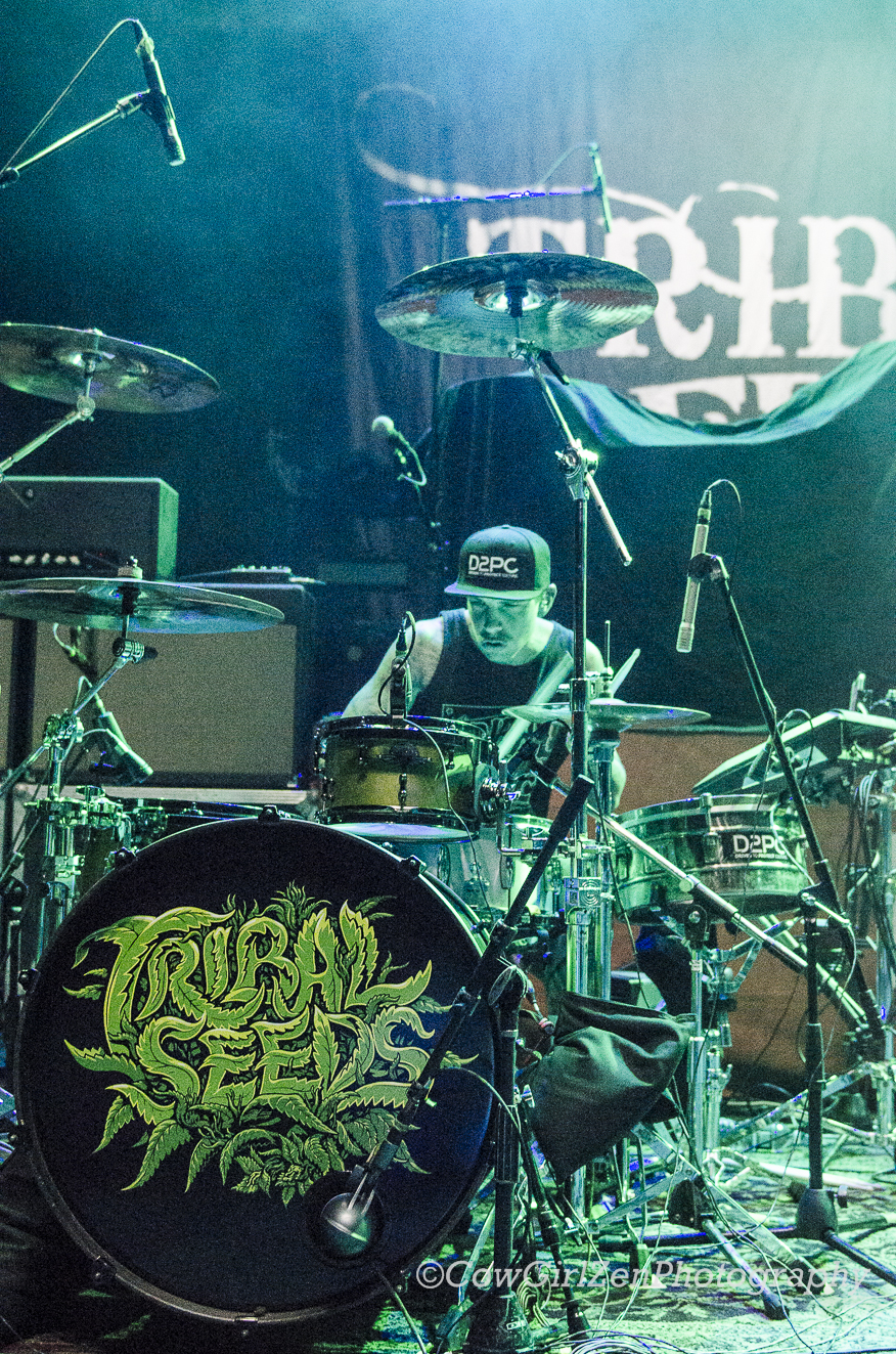Live Concert Photography: Tribal Seeds