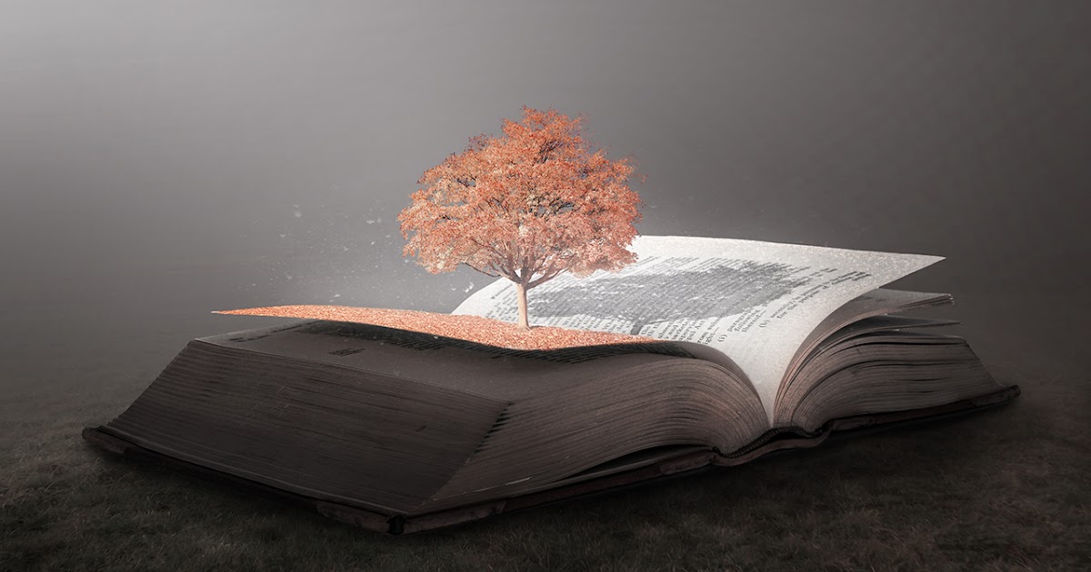 Черное дерево книга. Книга дерево реалистичная. Книга свет дерево. Manipulation book background. 3d Pop out Effect.