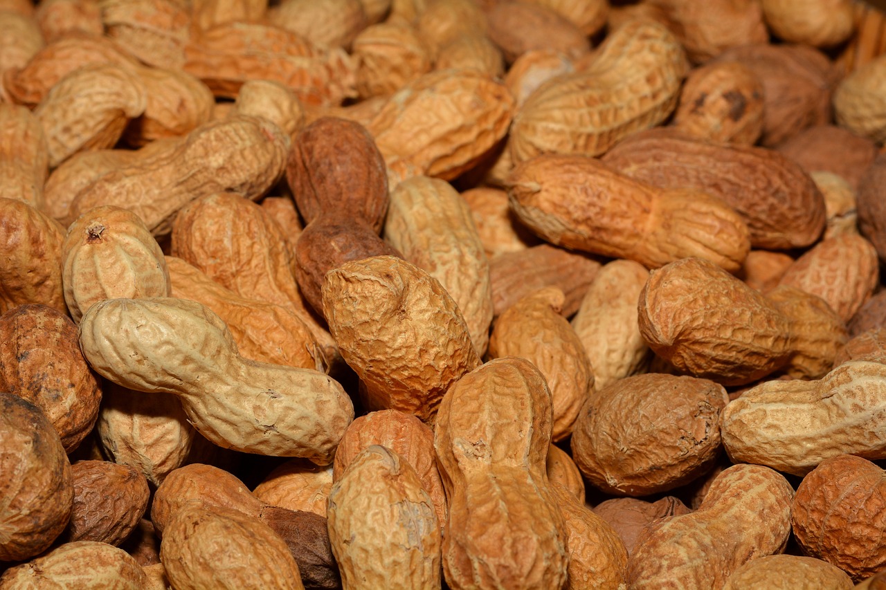 History of food: 5 interesting facts about Peanuts History of food: 5 interesting facts about Peanuts