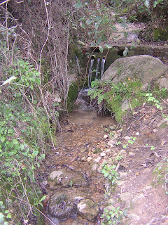 Font de la Mata, el Racó del Duc