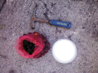 rock hammer, bowl, and bag of cured black walnuts