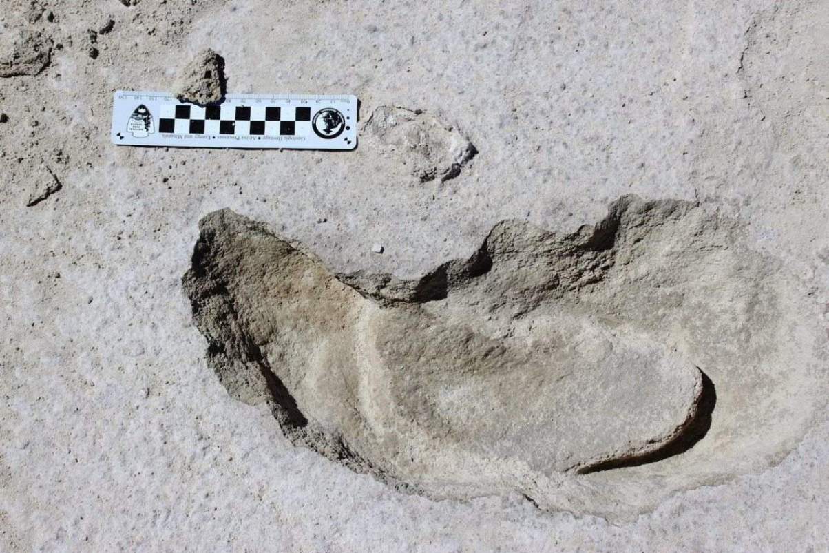 Fossil Footprints Show Evidence Of Humans Hunting Giant Sloths Geology In