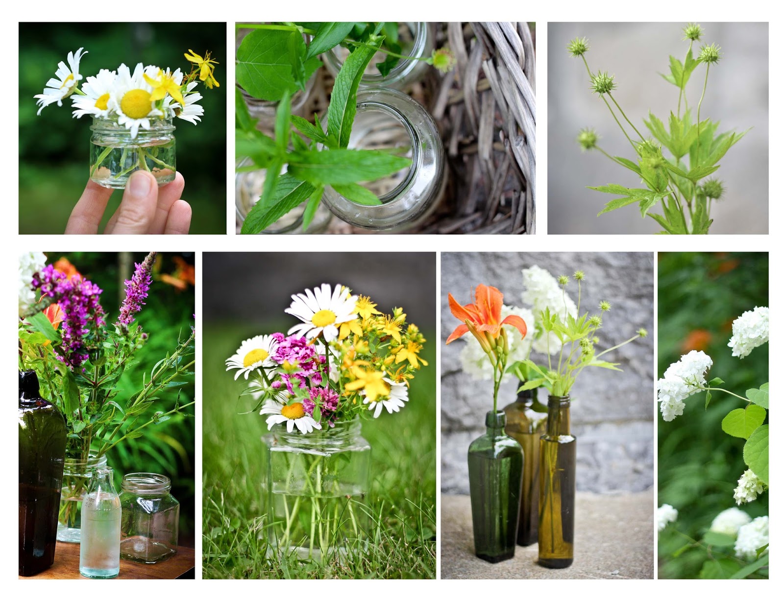 Cuisine Sauvage Cardamine Des Pres Et Pesto Rose