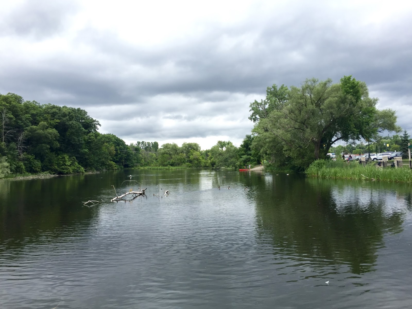 Along the Way White Pine Trail Comstock Park to Rockford (MI)