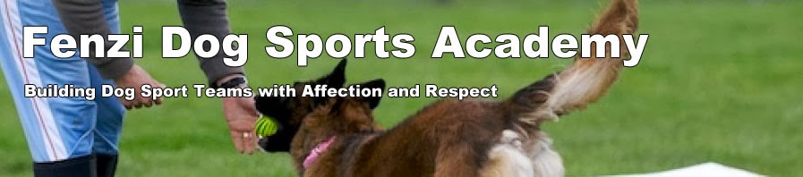 CorgiPants WinsDay 7 Fenzi Academy OB210 Obedience Skillbuilding 1 CorgiPants WinsDay 7 Fenzi Academy OB210 Obedience Skillbuilding 1