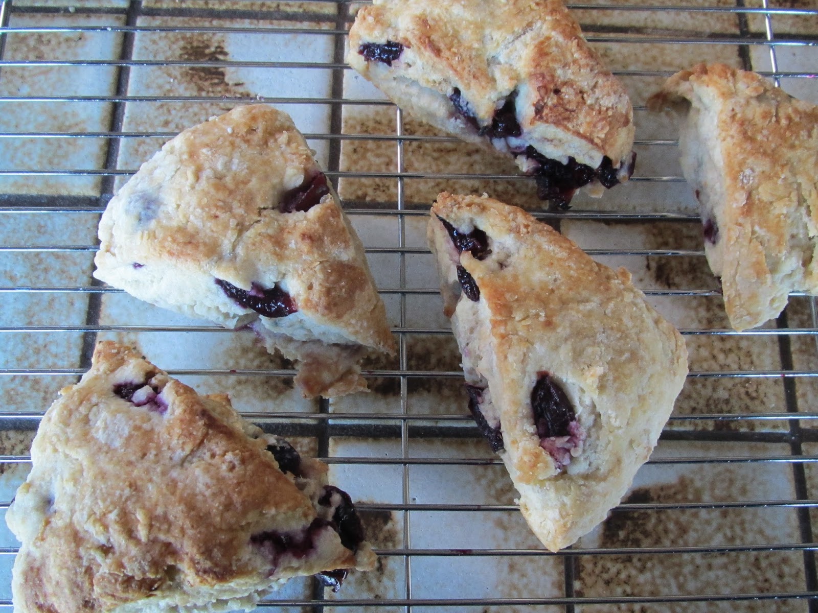 Zoomie Station Too Many Cherries