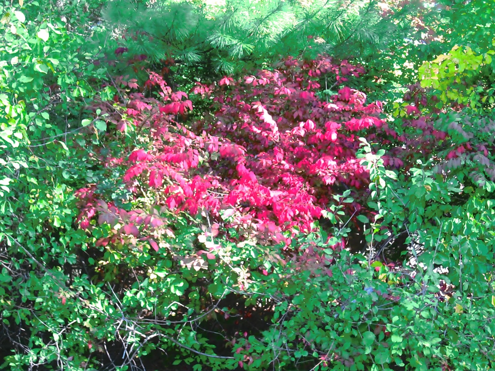 Autumn In New England | October Premiere - Live Lovely Photography