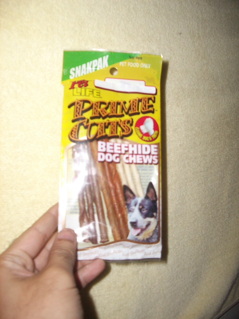 HAMSTER Definitely Need Chew Toy Hamster Story