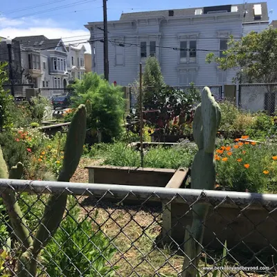 The David Ireland House as seen from Alioto Mini Park in San Francisco, California