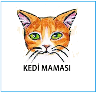 aysekadin petshop 0216 312 7284 kedi kopek mamasi kumu malzemeleri satan yerler kazasker kozyatagi