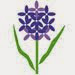 Studio Hyacinth