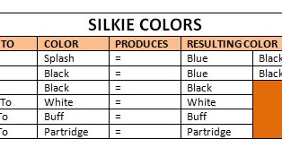 Amber Waves Bearded Bantam Silkies: Silkie Colors