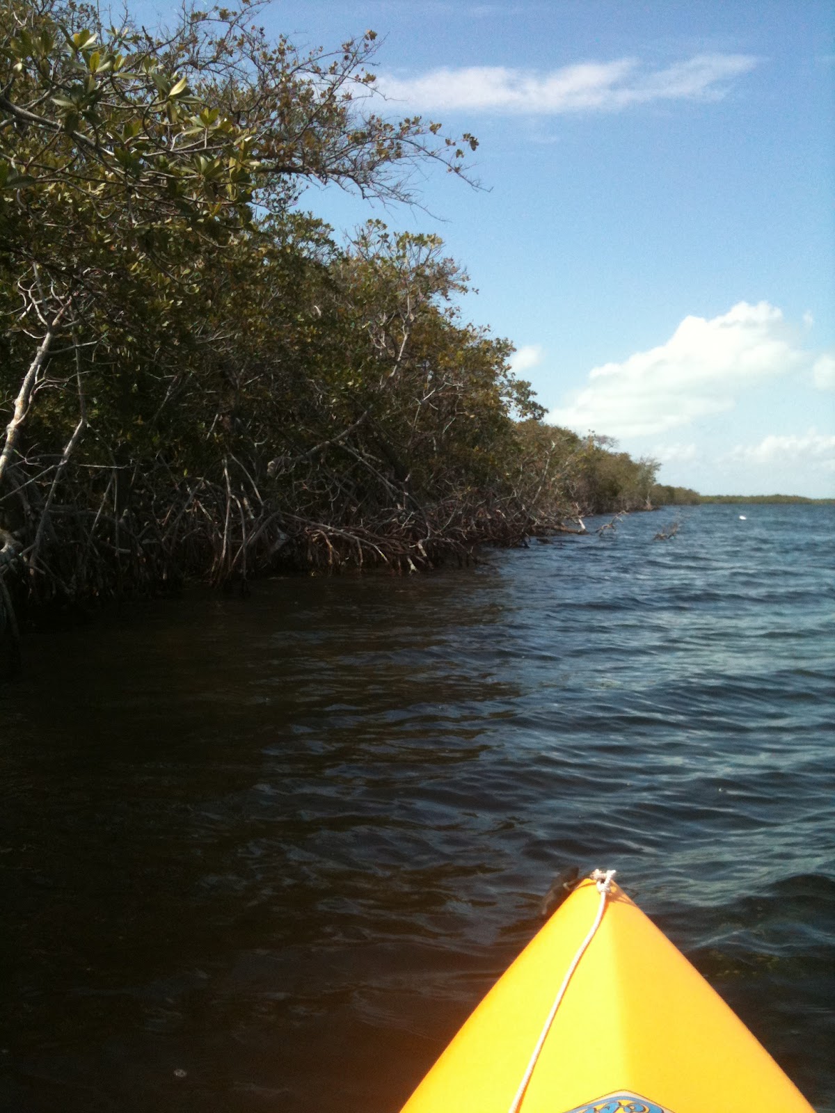 Our Vacation Havens... your Vacation Getaway! typical weather here