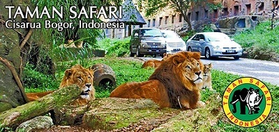 www.beriharga.com Harga Tiket Masuk Taman Safari Terbaru 2016