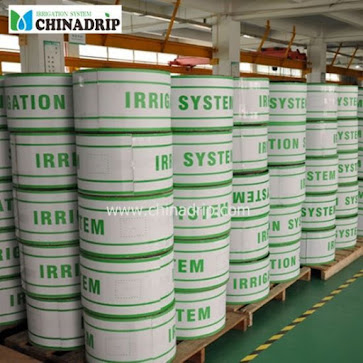 tinh dầu thiên nhiên hoa hồng tinh dầu thiên nhiên hoa hồng