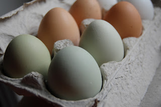 Beautiful Eggs!