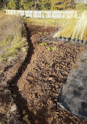 The new border at the end of the stock beds The new border at the end of the stock beds