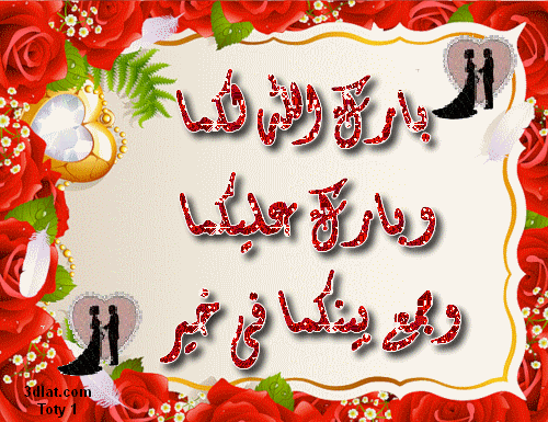 Https Encrypted Tbn0 Gstatic Com Images Q Tbn 3aand9gcrmgp3ymq0 4fb8qbf0 O Eciqrujl6wlaavg Usqp Cau