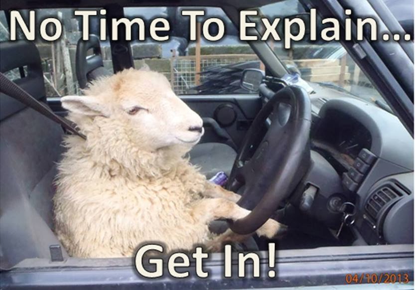 No Time To Explain No Time To Explain