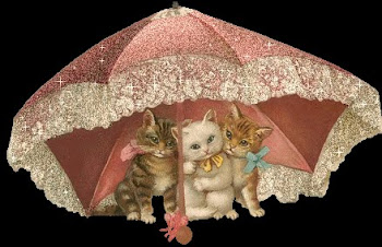 gatos e o guarda-chuva