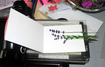 Lavender Flower Press Bigshot for The Funkie Junkie Boutique 