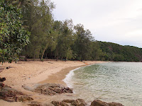 Rimba Resort - Pulau Sibu