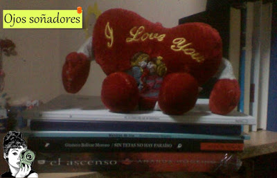 Bookshelf tour libros