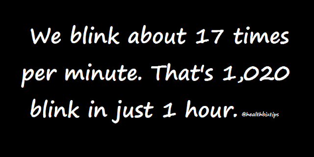 We blink about 17 times per minute. That's 1,020 blink in just 1 hour.