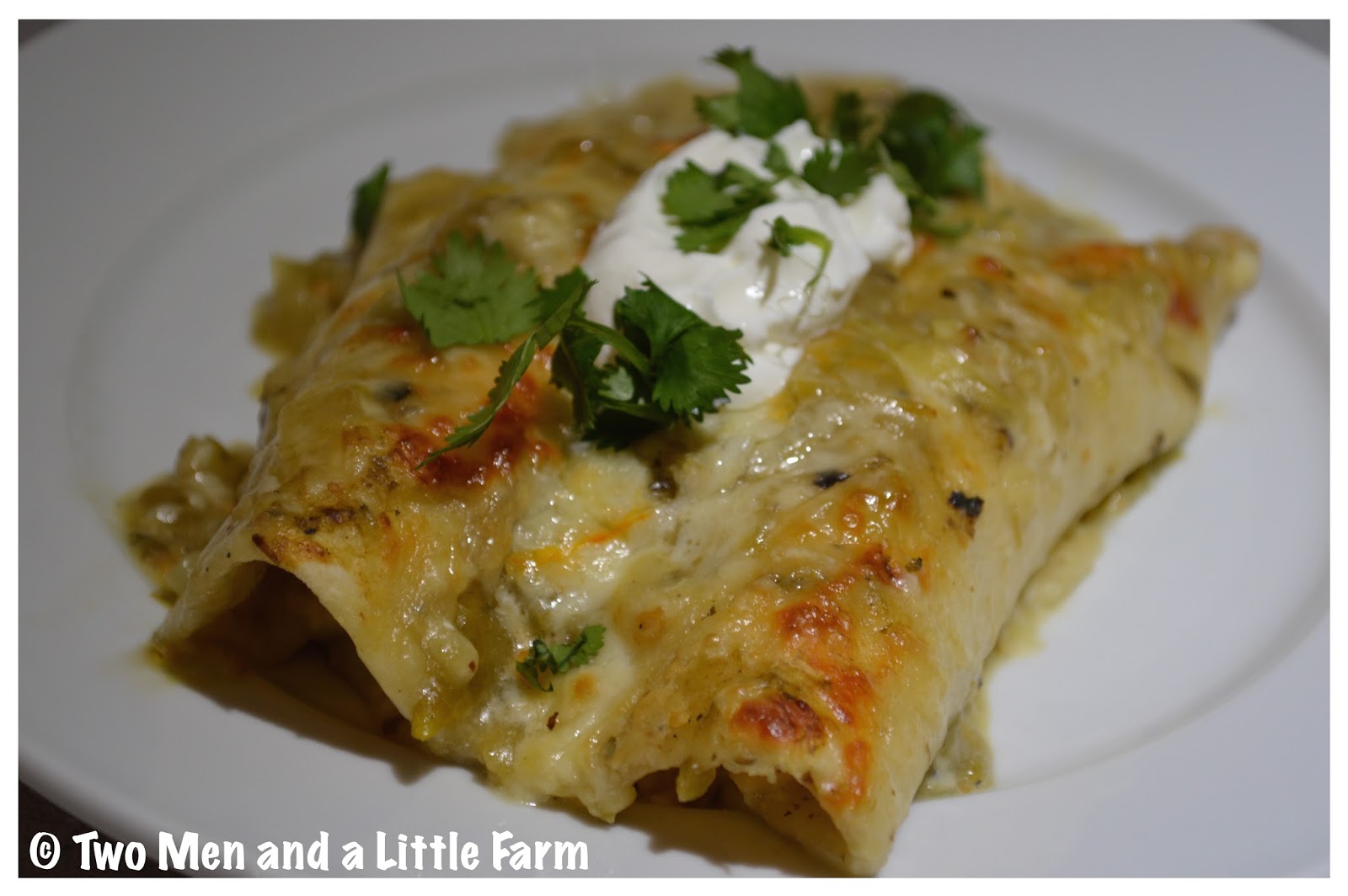 Two Men and a Little Farm GREEN CHILI CHICKEN ENCHILADAS RECIPE