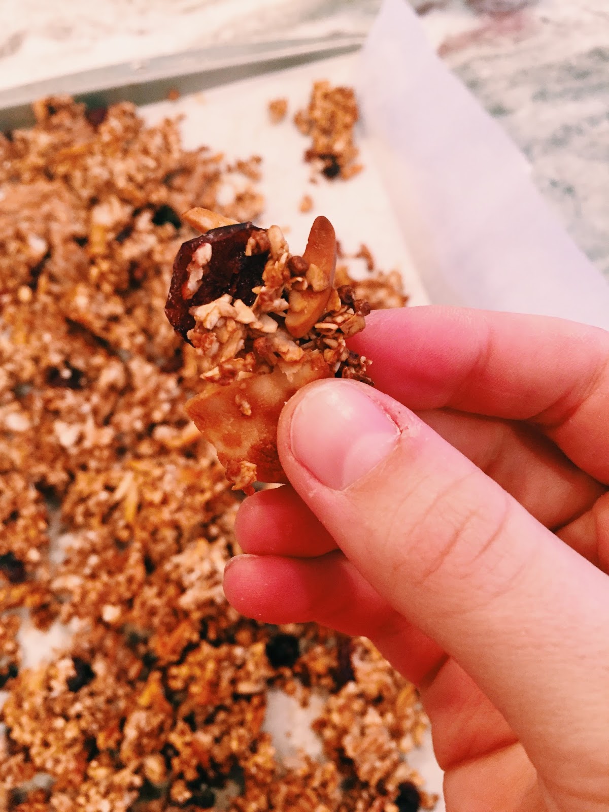 The Enthusiastic Foodie. Chocolate puffed quinoa cranberry, roasted