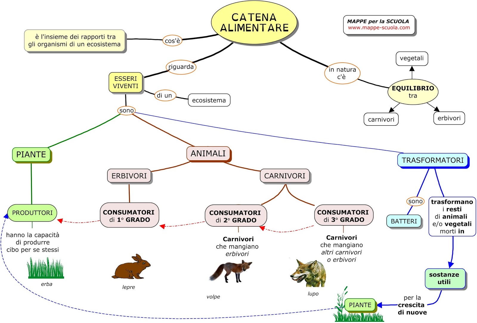 Catena alimentare, Ecosistema, Mappe