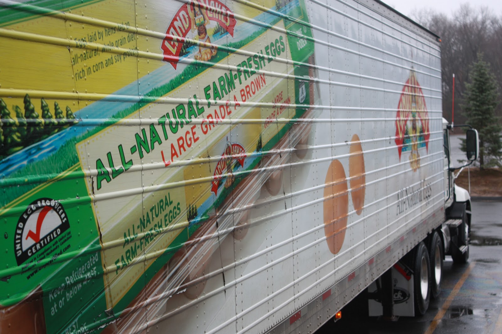 Foodshare A Movement to Solve Hunger Thank You Hillandale Farms!