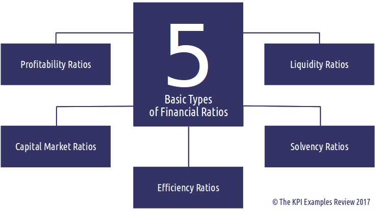 financial ratios analysis template