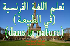 تعلم اللغة الفرنسية (في الطبيعة) - dans la nature