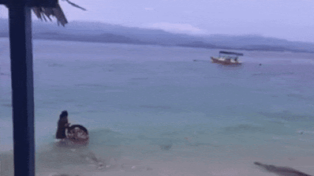 Geram Beredar Video Warga Buang Sampah di Laut, Menteri Susi 