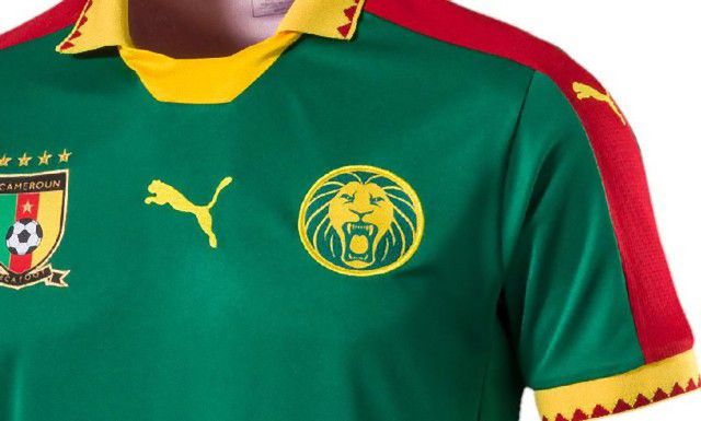 カメルーン代表 2017 ユニフォーム-ホーム-アフリカネイションズカップ