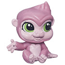 Littlest Pet Shop Pet Pawsabilities Saffron Sweetin (#41) Pet Littlest Pet Shop Pet Pawsabilities Saffron Sweetin (#41) Pet