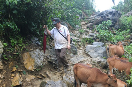 Toan canh ngay thu hai giai cuu cac nan nhan dao vang bi mac ket - Anh 18
