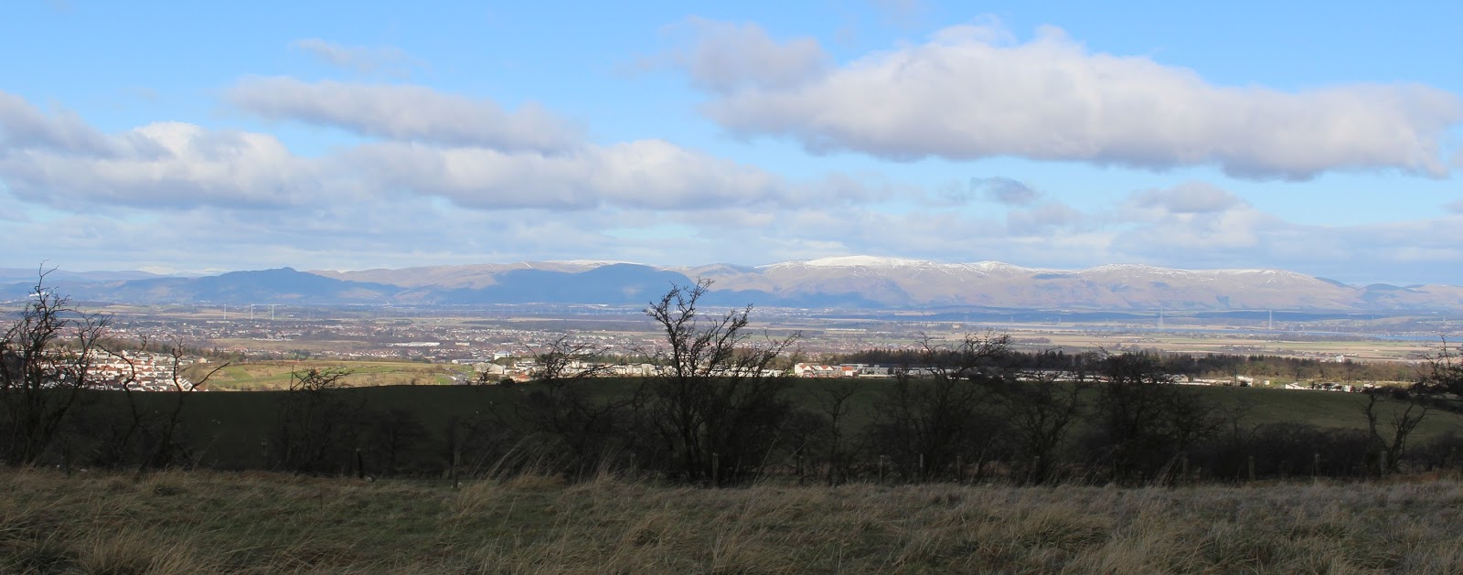 Angus' Bean Goose Blog February 2016