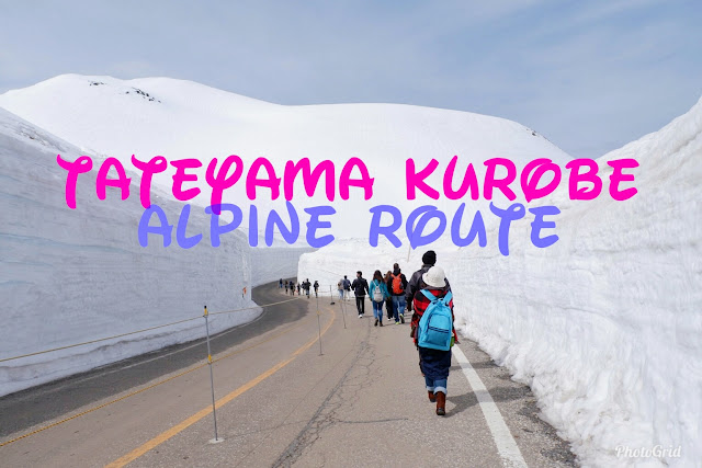 tetayama kurobe alpine route