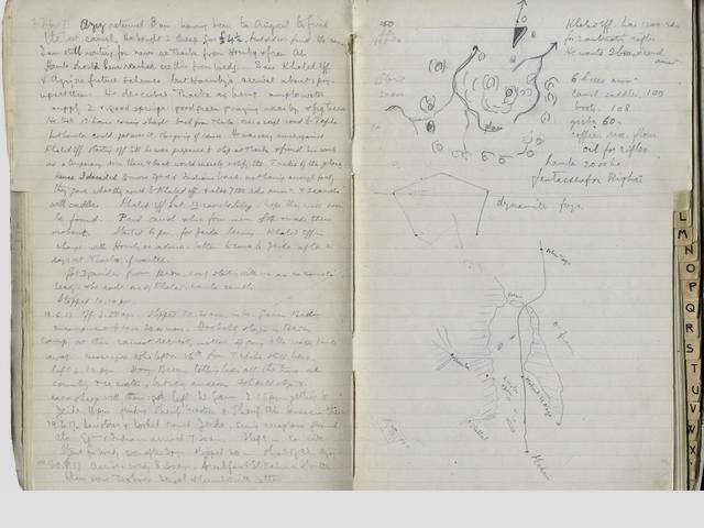 Newcombe's Field Notes