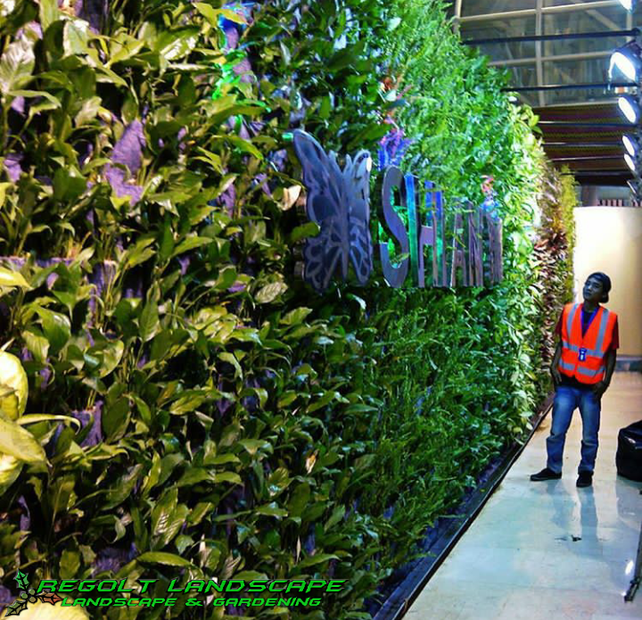 Regolt Landscape Jasa Taman Profesional Contoh Gambar