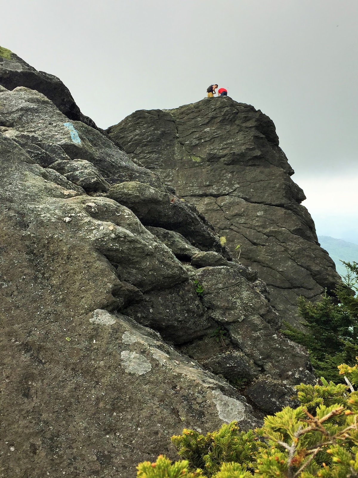 Down the Road Chutes & Ladders Hike on Grandfather Mountain NC