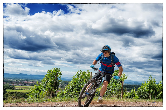 Fsa Mega Exo Kurbel Mit Shimano Innenlager Archiv Tour