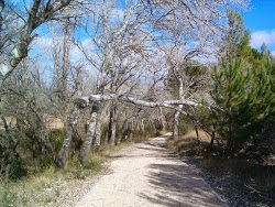 De CAMINOS y CAMINANTES