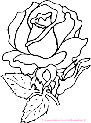 gambar bunga mawar - 10