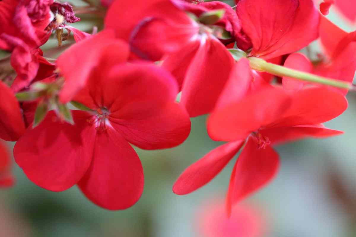 원주 구룡사 원주 구룡사