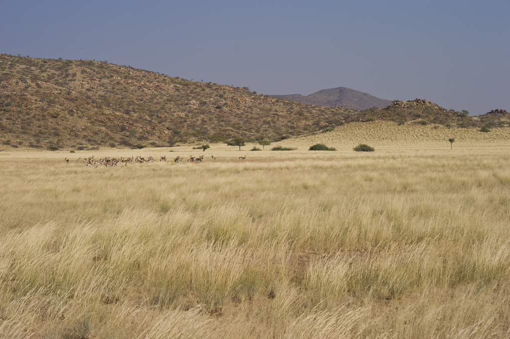 Iona National Park Beautiful Tourism Place