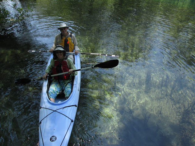 Central Florida Kayak Tours: Kayaking with the wildlife on the Silver